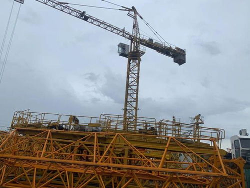 金山有序開展租金減免,為企業(yè)減負(fù)護(hù)航